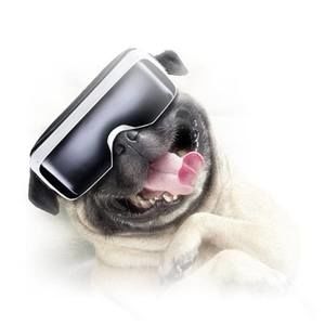 Meet your Posher, Gregory